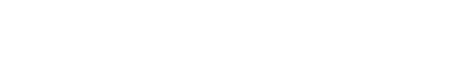 Icona Brands